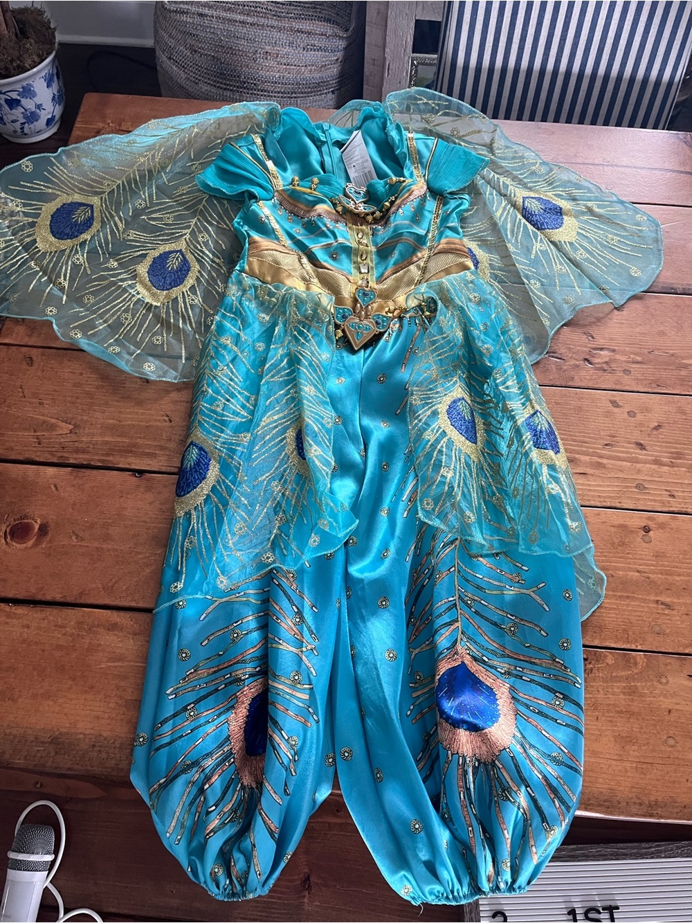 Kids Disney Aladdin Jasmine Peacock Princess Costume - Turquoise 3T-4T